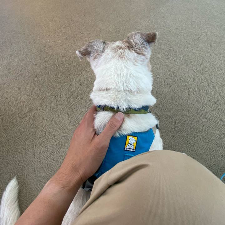 Bd3d3dfd e20e 4aba 846d 34c0c3226c97 1719664275077