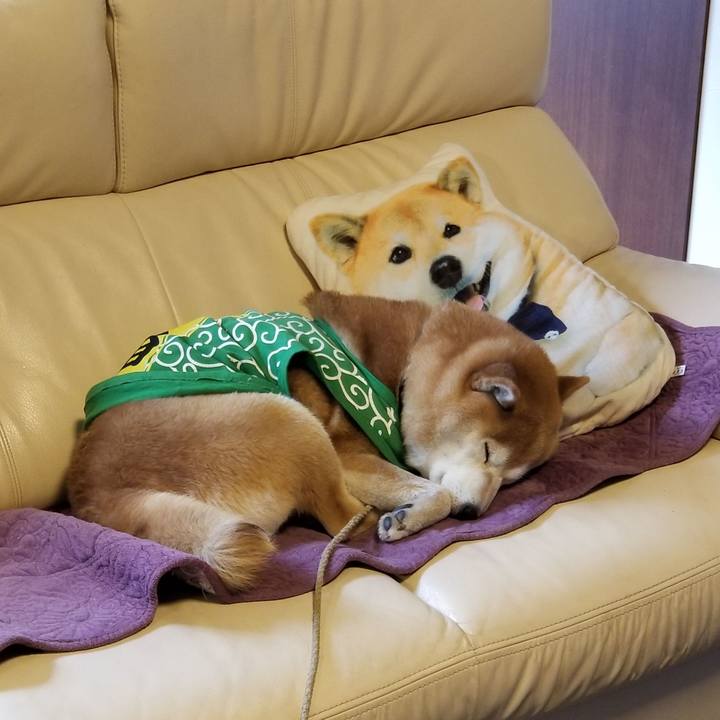 Bd3d41f0 d87f 40f7 bcb7 4979373e93b4 1586387556796