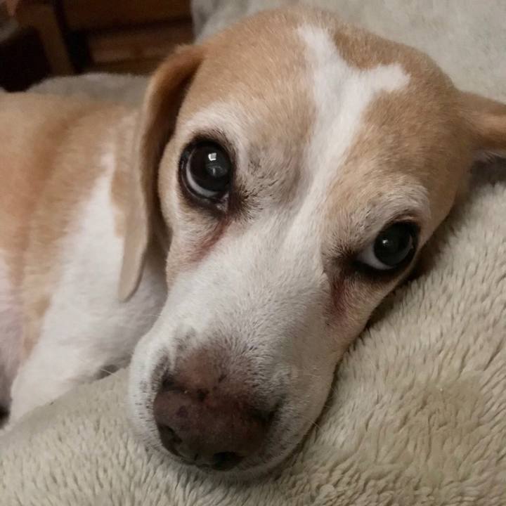 Bd3dcde7 61d3 4488 aa23 b294ee0ae642 1536448052810