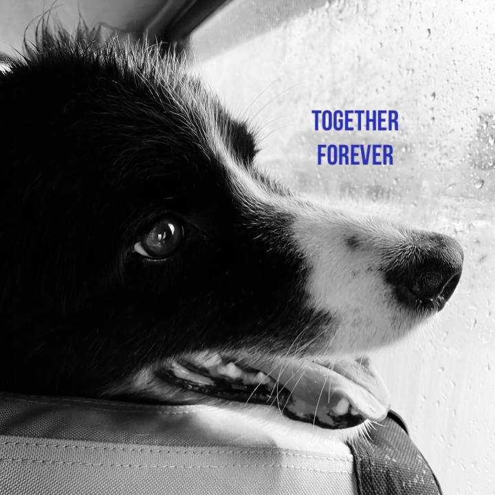 Bd3dd2b8 0cee 40a9 8e69 4bb0a29cae72 1751674723935