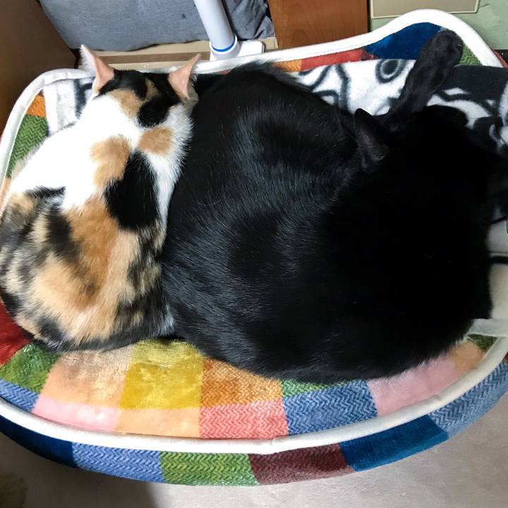 Bd3dd90c ab05 411b a5ed 3ee24d3fddf6 1510709863892