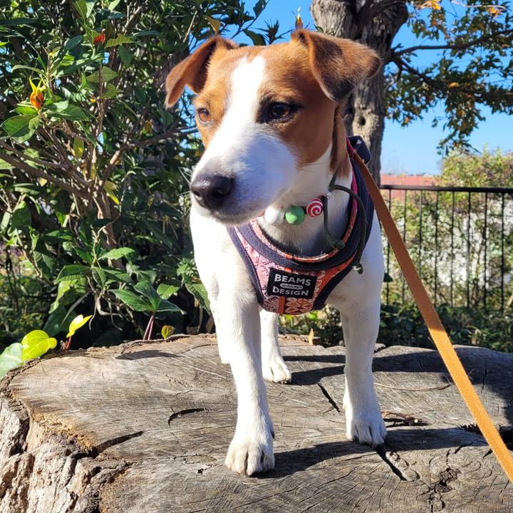 Bd3ddbc3 08ee 444e 87b9 4ccd7cf6cb01 1702096439666