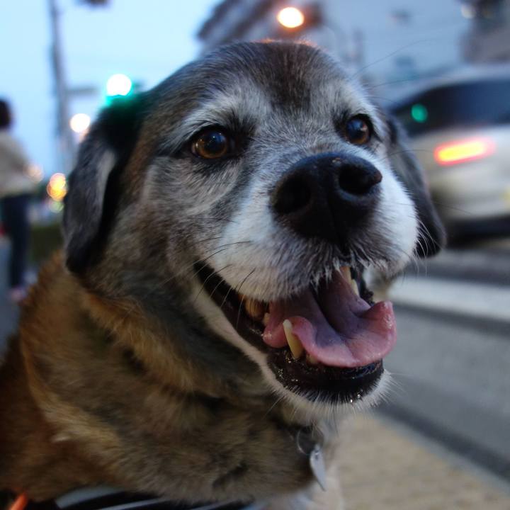 Bd3e0141 0819 4523 87aa 4969c8b28b87 1555845299066