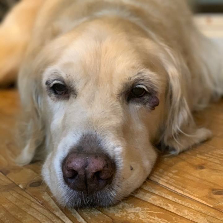 Bd3e2533 90d6 4ae2 a8df fae2ac6462f3 1565154276450