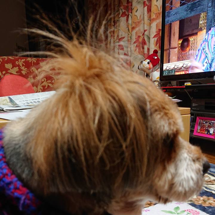 Bd3e2f59 f590 4af8 85a3 2c70d40025c2 1574342173757