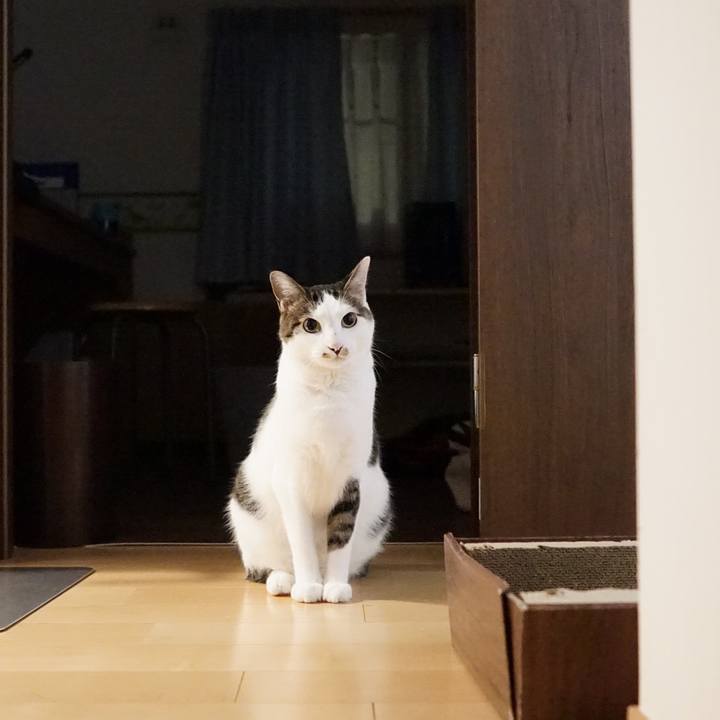 Bd3e3f81 b85c 46fe 8475 8151e256d46c 1564444056435