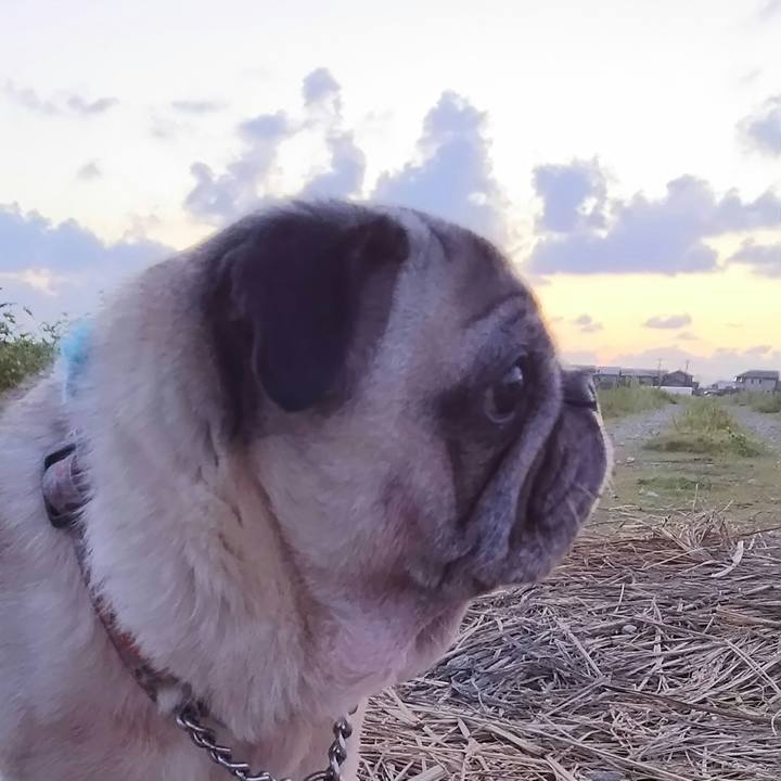 Bd3e4061 c35d 4c8e 8129 061555f509bb 1536046926466