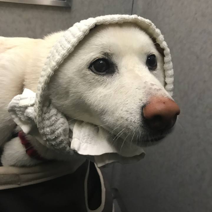 Bd3e6f6c 774d 40df 9c5c b4bae260c9f5 1525779062529