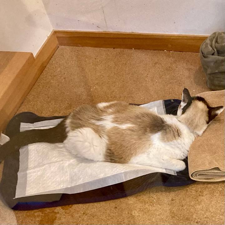 Bd3e96a5 e54f 492d 910c 347b22cfaacc 1679403091728