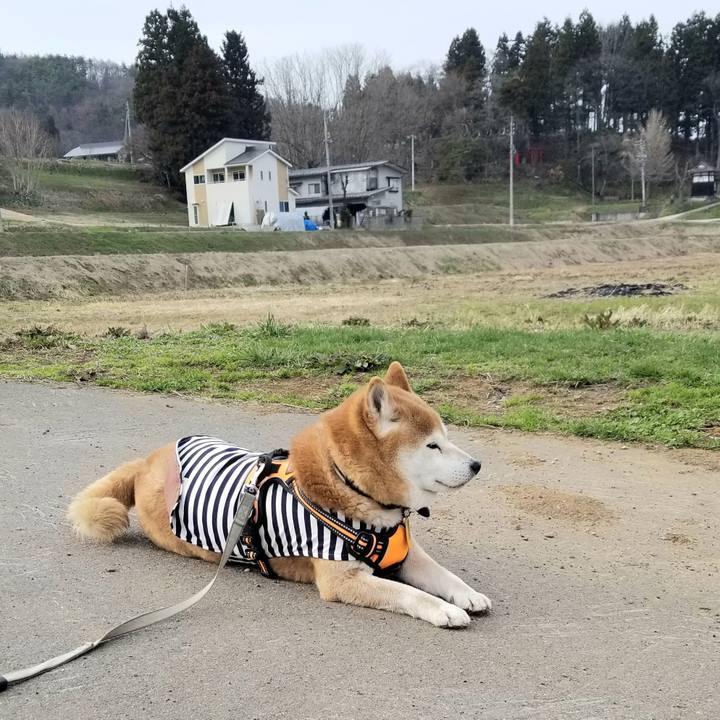 Bd3ea3cb 52e2 4a9b a814 3266bcc3edf6 1616829275906