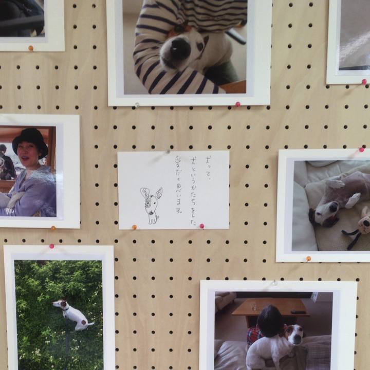 Bd3ec5cc 275b 4dfb b6c2 ece9b7d0d45d 1527596581149