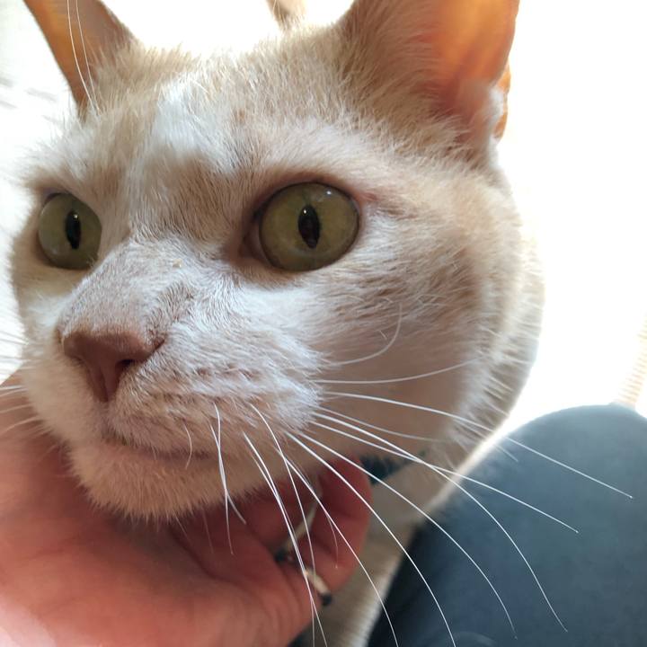 Bd3eca60 67ca 43d7 9ee8 db851e10e672 1628203581836