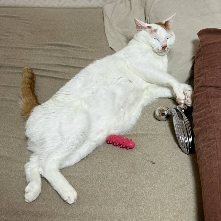 Bd3eed04 4b6e 40ad 828e eb127c18dae2 1678051769172