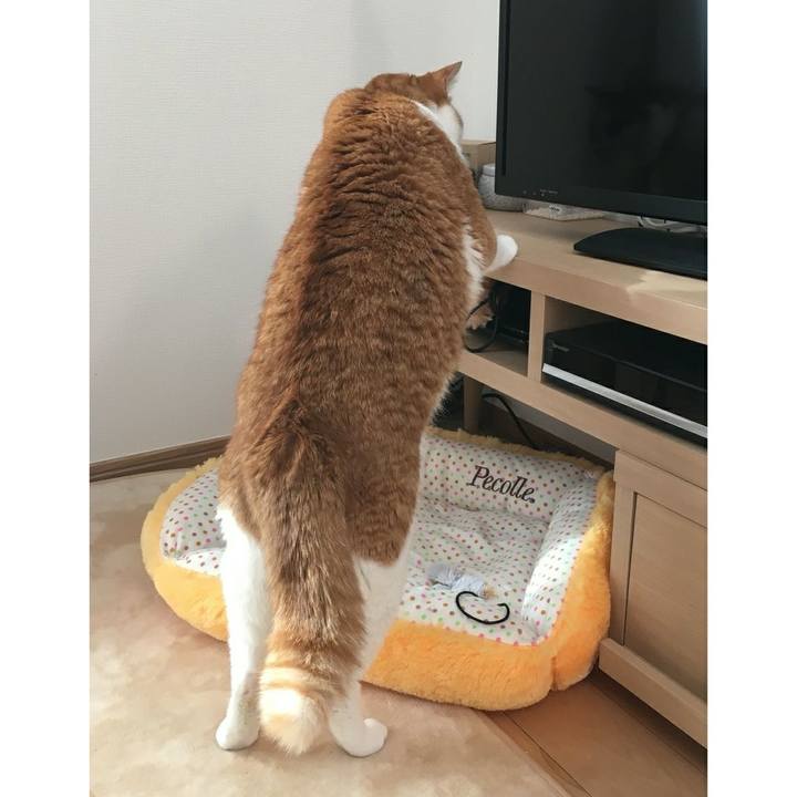 Bd3f03da dc94 4ef5 8c1a e690af65de23 1518053566741