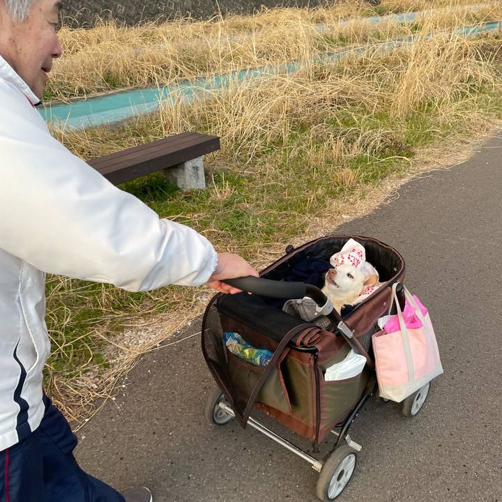 Bd3f0560 ab3d 41b6 9723 4dd1f3c6bac8 1677339482209