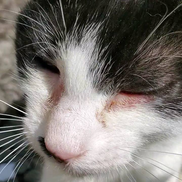 Bd3f2aca 25dd 49be bac5 ae1323bf46d6 1713237148060