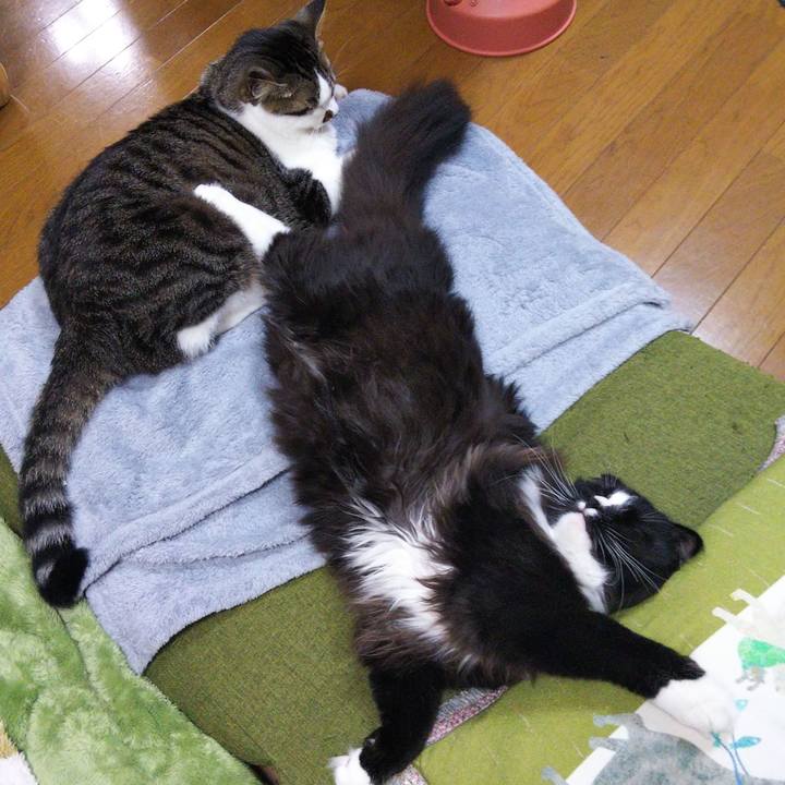 Bd3f5887 cee5 4fda bed2 75d16a84cabb 1652681188242