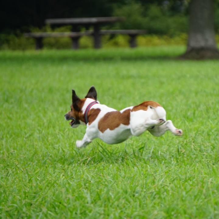 Bd3f60dc 207b 45a8 a9f8 6fd8d09d5d2f 1566774542410