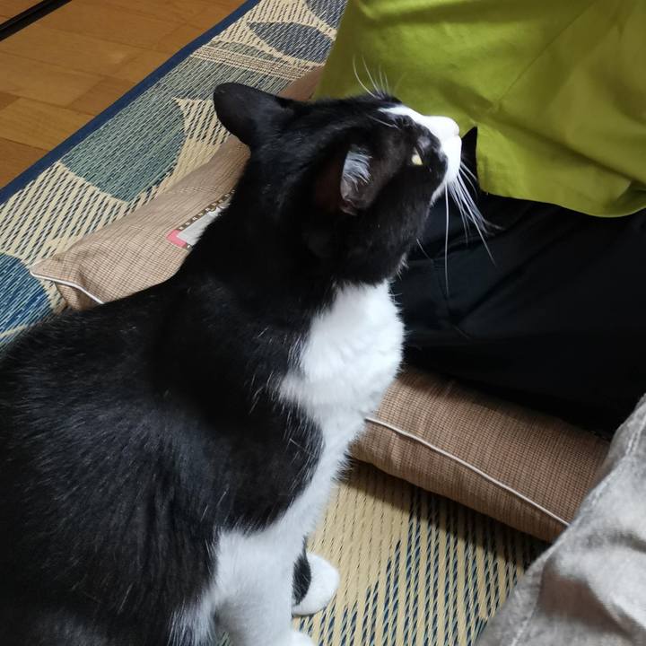 Bd3f6de9 a26b 462a 8d09 58d5d412c38e 1690519801948