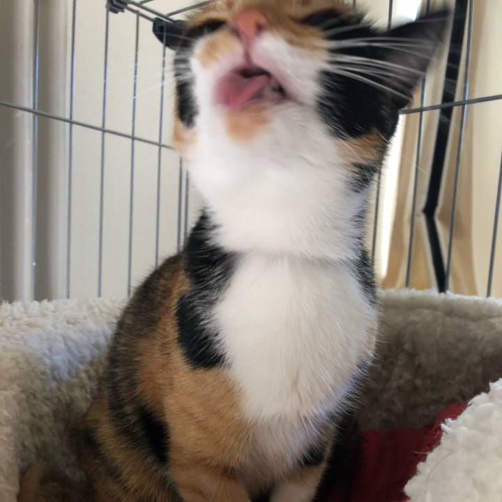 Bd3f7ec7 7548 4981 98fe accbfffd25b6 1537666566195