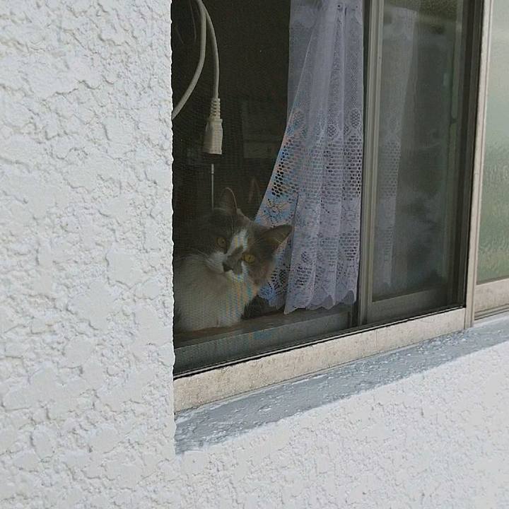 Bd3fa1f9 e232 4772 b7f6 eeb157d2f43c 1588647285681