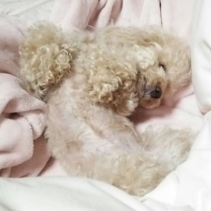 Bd3fa958 0df0 4a4a ba34 3facf3662b9f 1539955405749