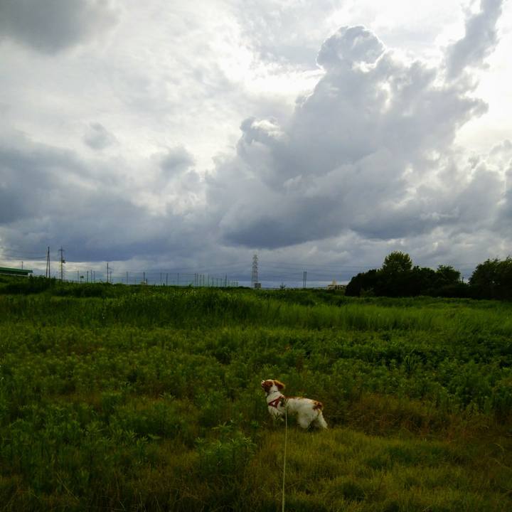 Bd3fc1f3 4df5 4708 97b4 93b6d3748244 1530274426392