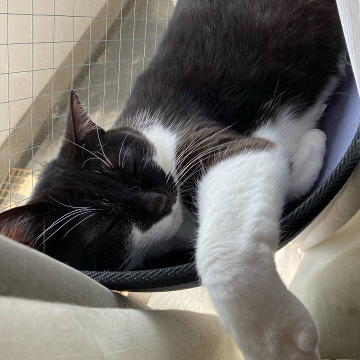 Bd402ee0 836e 4f40 a5c2 d038bc8d0f87 1678356257289