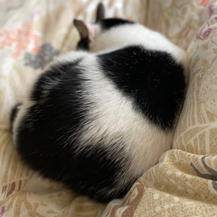 Bd40480c f609 4825 b631 956996353319 1574067291949