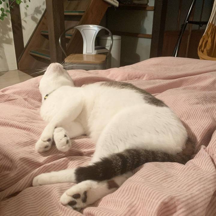 Bd4060d3 7e6f 4512 aa9d c26311f83944 1656354512627