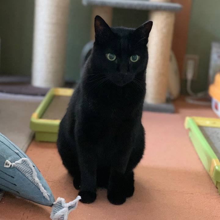 Bd40635a 0ae0 467e aedb 3f7617c3f26a 1576026727746