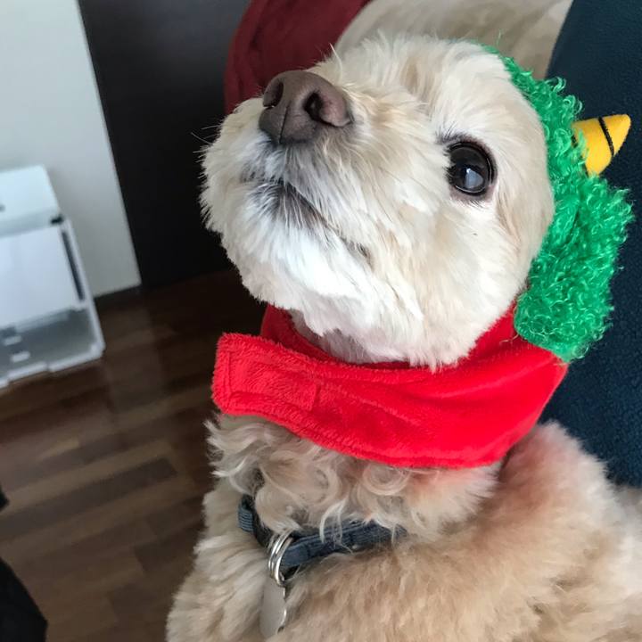 Bd4084f6 ce5c 47a6 b40a 8d29cf38c0d4 1549167257876