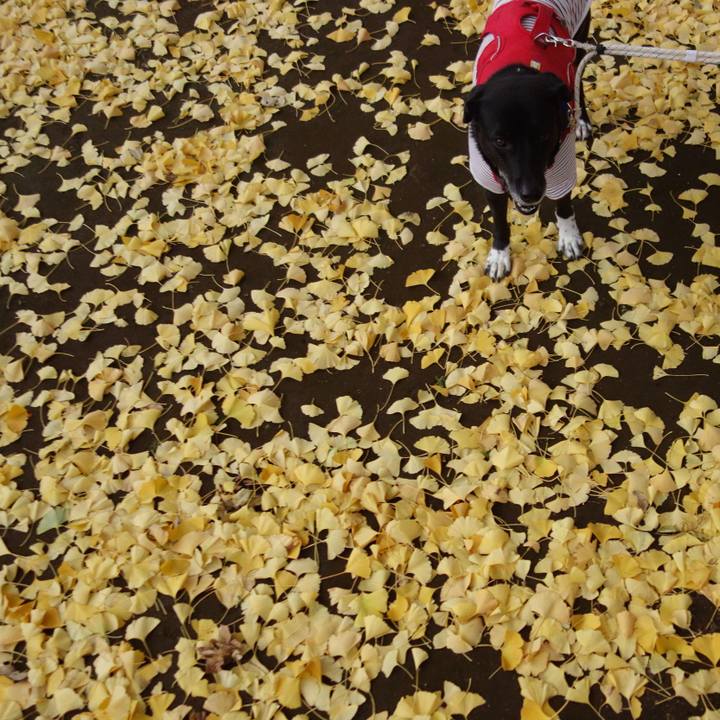 Bd409823 d79c 4c82 b4a2 81bb498f75a2 1670201204105