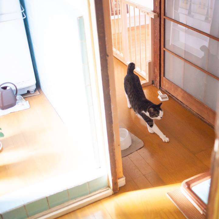 Bd40a3f0 17d4 4f78 afe6 7ff3613a81f6 1548553059167