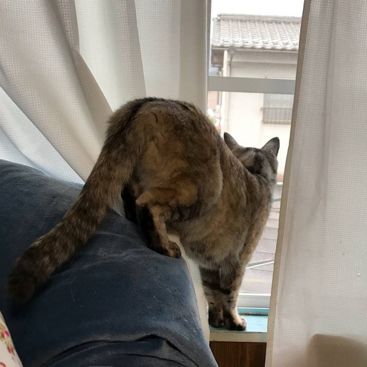 Bd40cd0e 6fe9 48de aa06 0a56aa6196a4 1553213000499