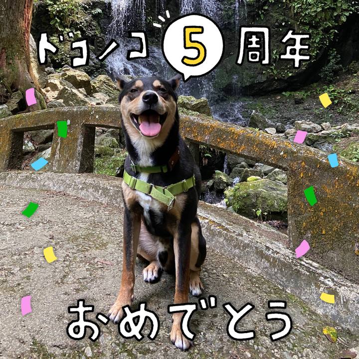 Bd40db49 3974 4245 af45 0e776173a185 1622876398867