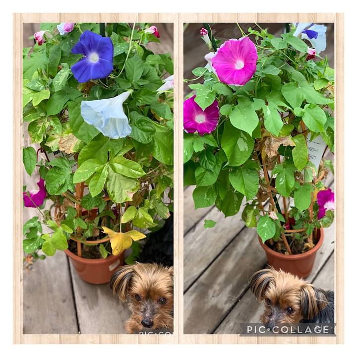 Bd41165a 13dc 4cd4 ade2 fc7187a5b730 1630274310660