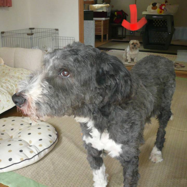 Bd4172bb 8317 4b44 bb8e ba12ba0c5760 1624421554437