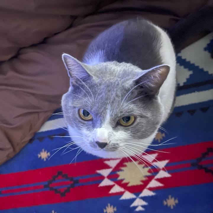 Bd417c48 58f3 4645 b585 b506f51aaafc 1671258208498