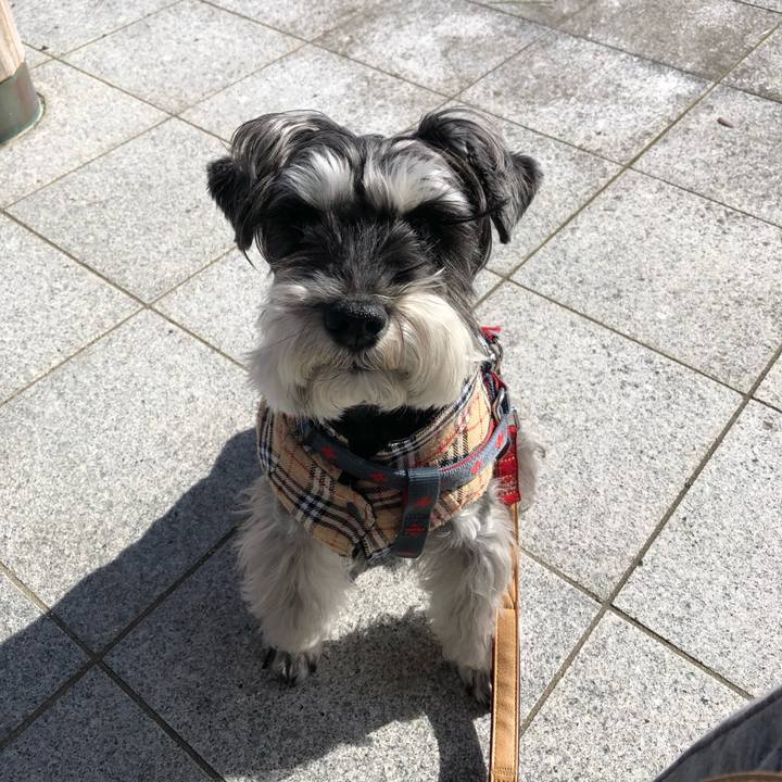 Bd41cc88 d6a2 4919 ae70 52fe9bd8a8d7 1675571333964