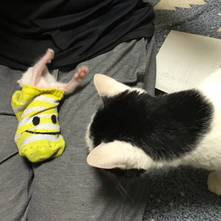 Bd420c52 09cd 4d52 ba51 7c2e2afa5b0a 1589895210512