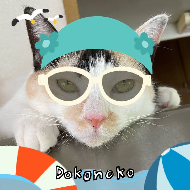 Bd421922 7131 421b 8116 05f1703fdec8 1723548647980