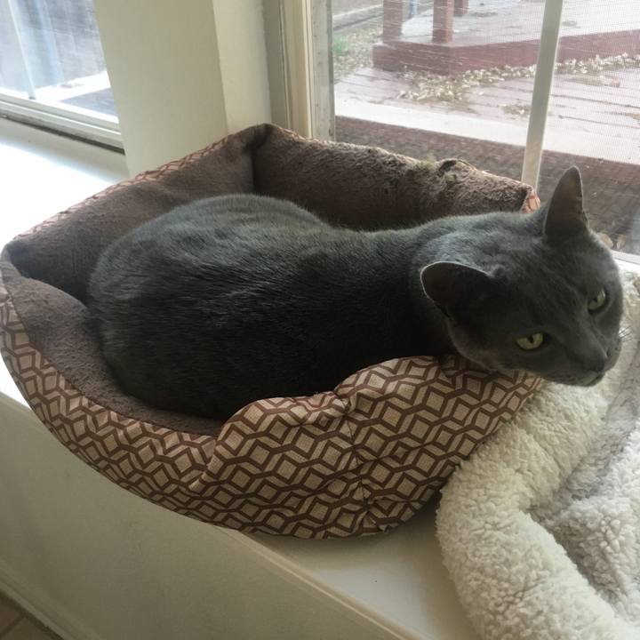 Bd42316c d09c 4689 b943 4f02bc69ce72 1653007293620