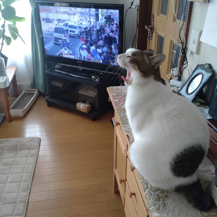 Bd4244ff f153 4f7b bc5a 9a850781d44a 1735781298480