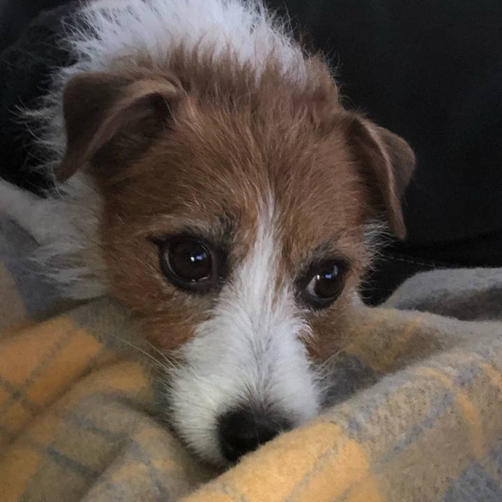 Bd42a204 d2d2 418e 88b7 d031b010369d 1576985779227