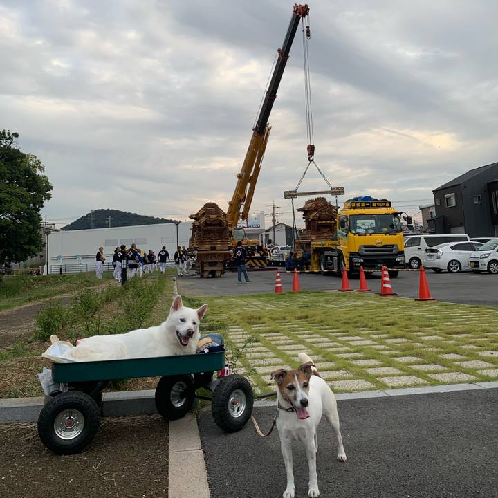 Bd42a6fd 296d 4420 9757 598c03d56254 1569752651610