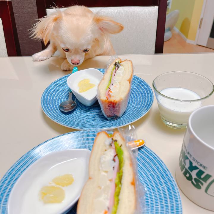 Bd42e6fb 566a 4214 abaf 0bc272c1a249 1649886485569