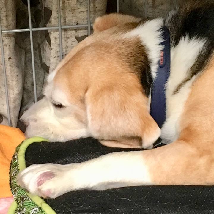 Bd42ed22 48b3 4849 97c6 31e27bfdda59 1563251090403