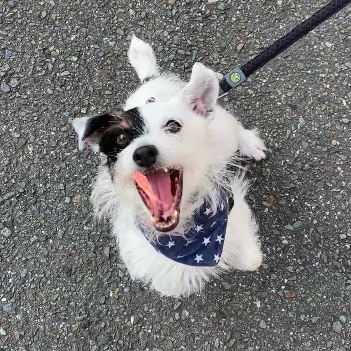 Bd431cc0 c7b4 4c1d 8d04 e201dc455788 1659480285293