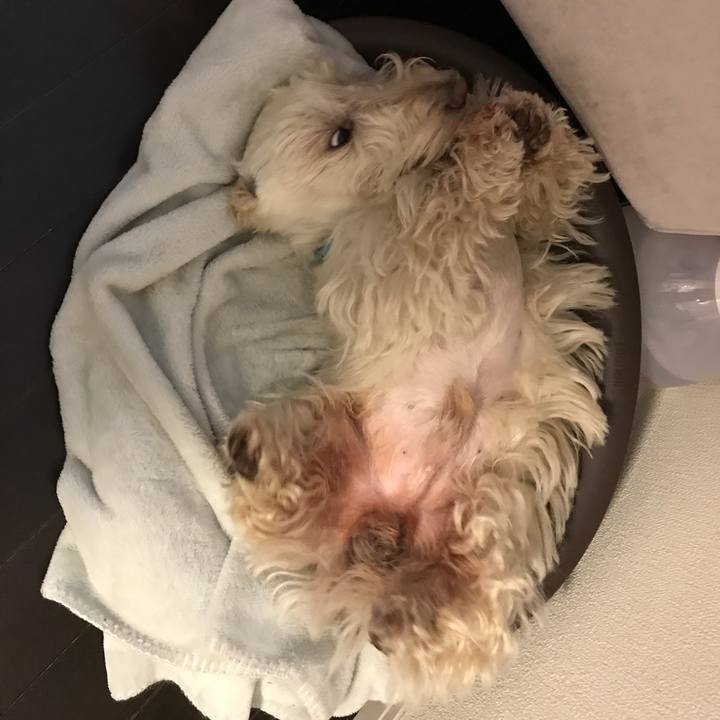 Bd43295e f666 4d18 9749 e5e2d5edc23b 1524013718617